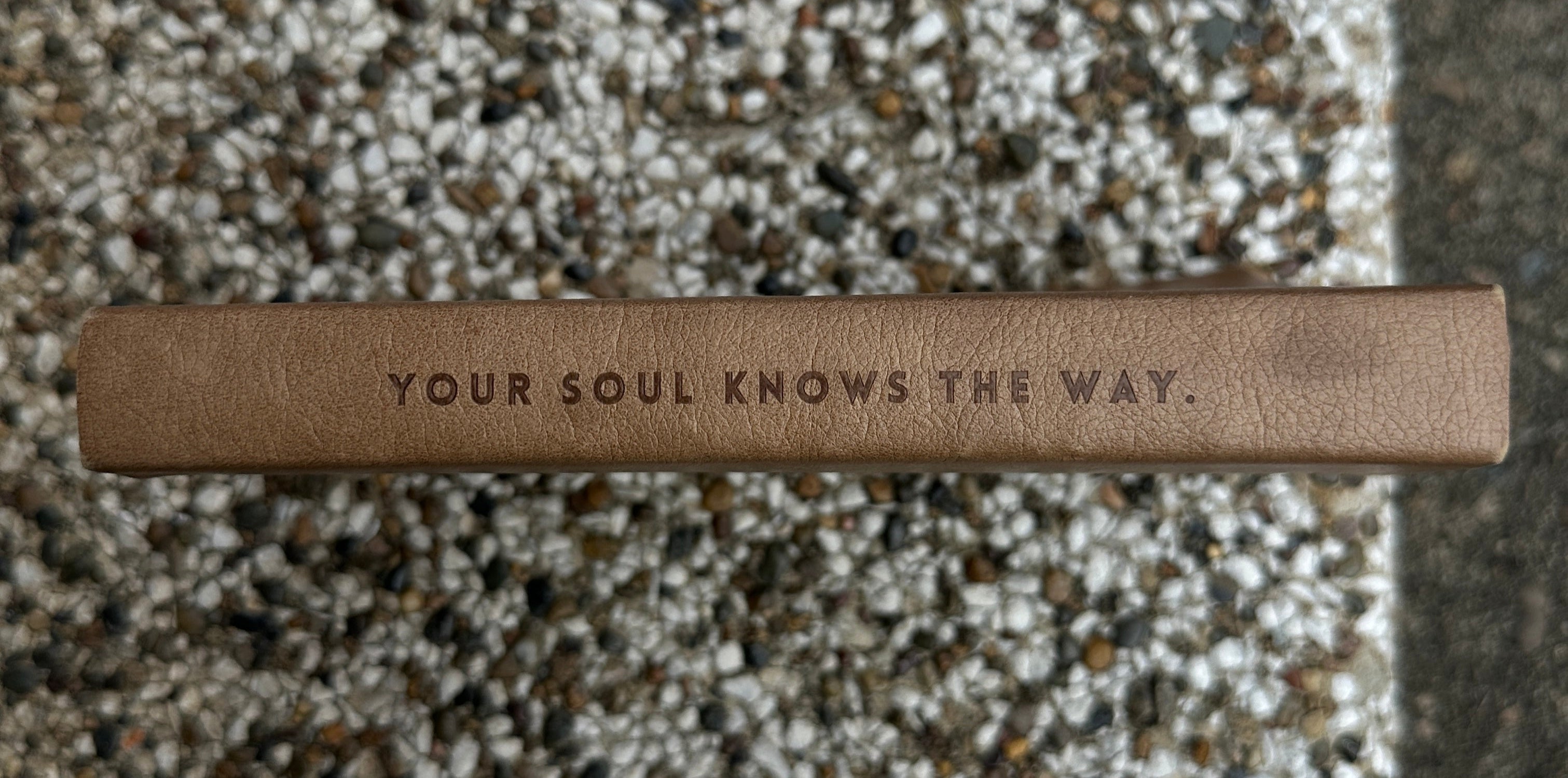 The Brown Leather Edition – Grounding & Reflection