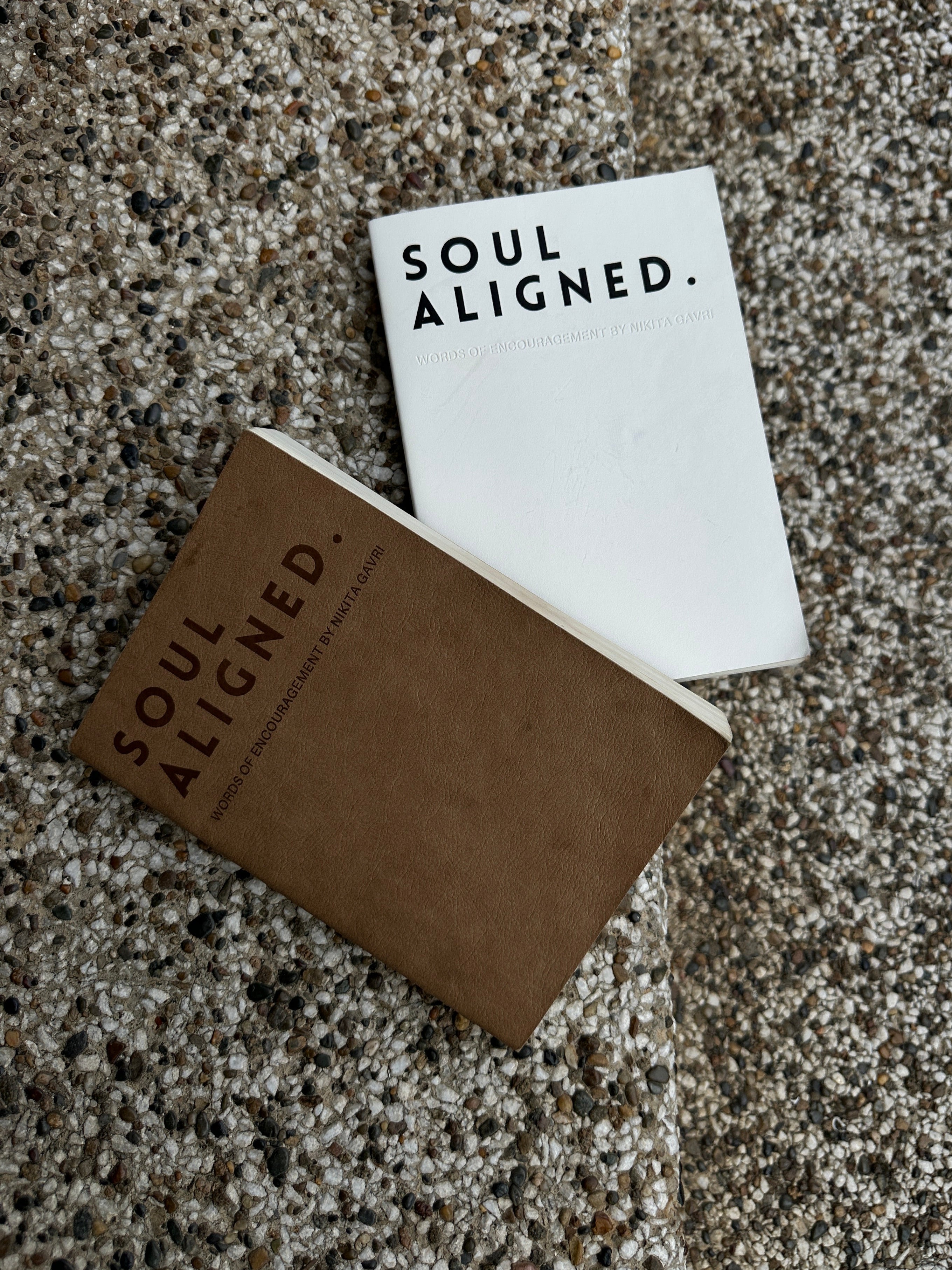 Soul Aligned 2-Book Bundle